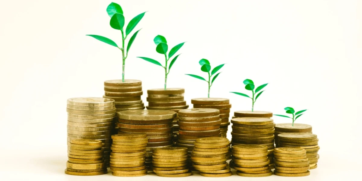 Altın Kredisi Nasıl Hesaplanır?