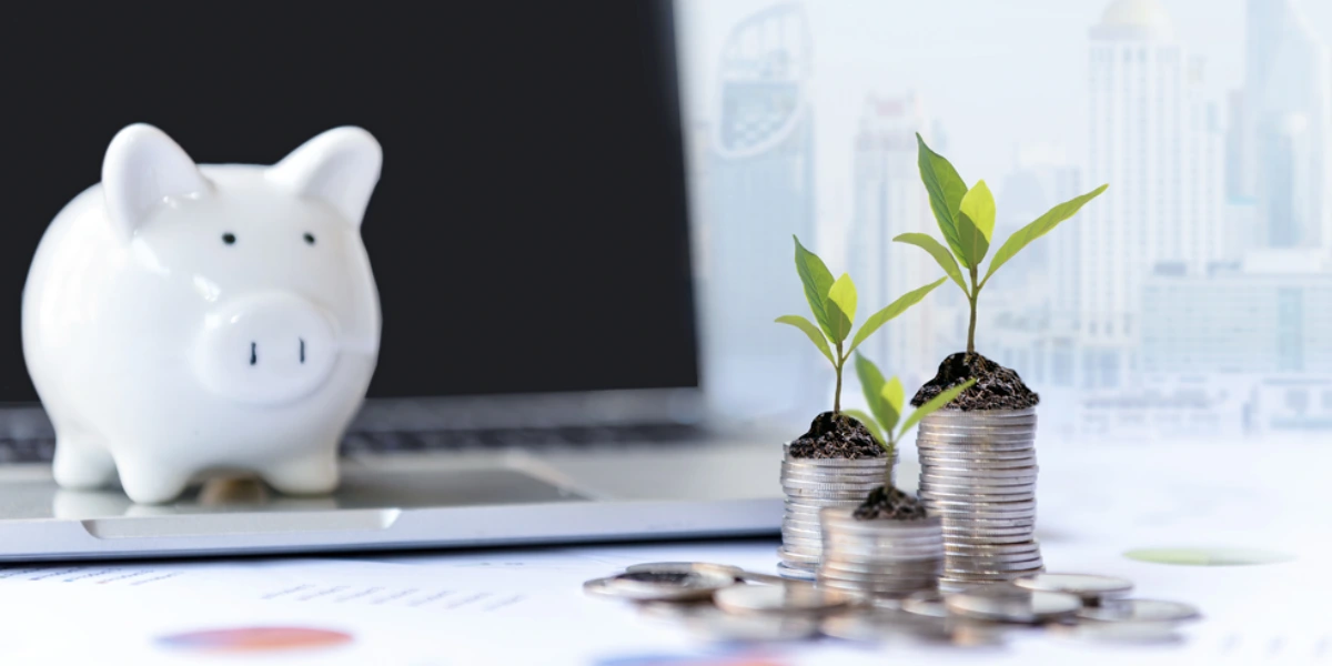 Bankadan Gümüş Almanın Dezavantajları Nelerdir?