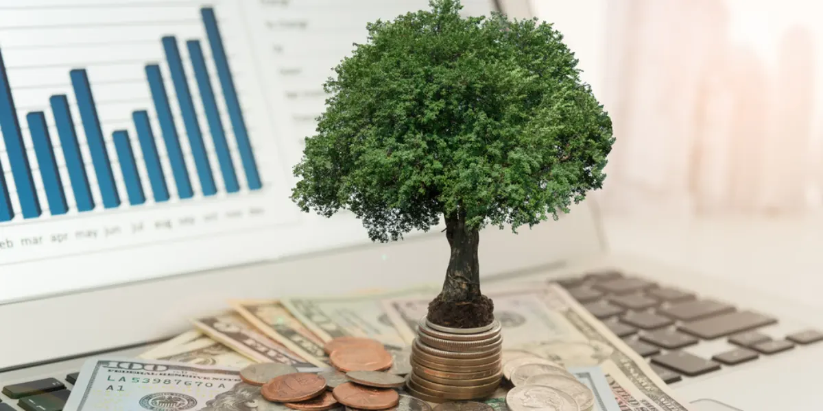 Vadeli Hesaptan Para Nasıl Çekilir ve Nasıl Yatırılır?