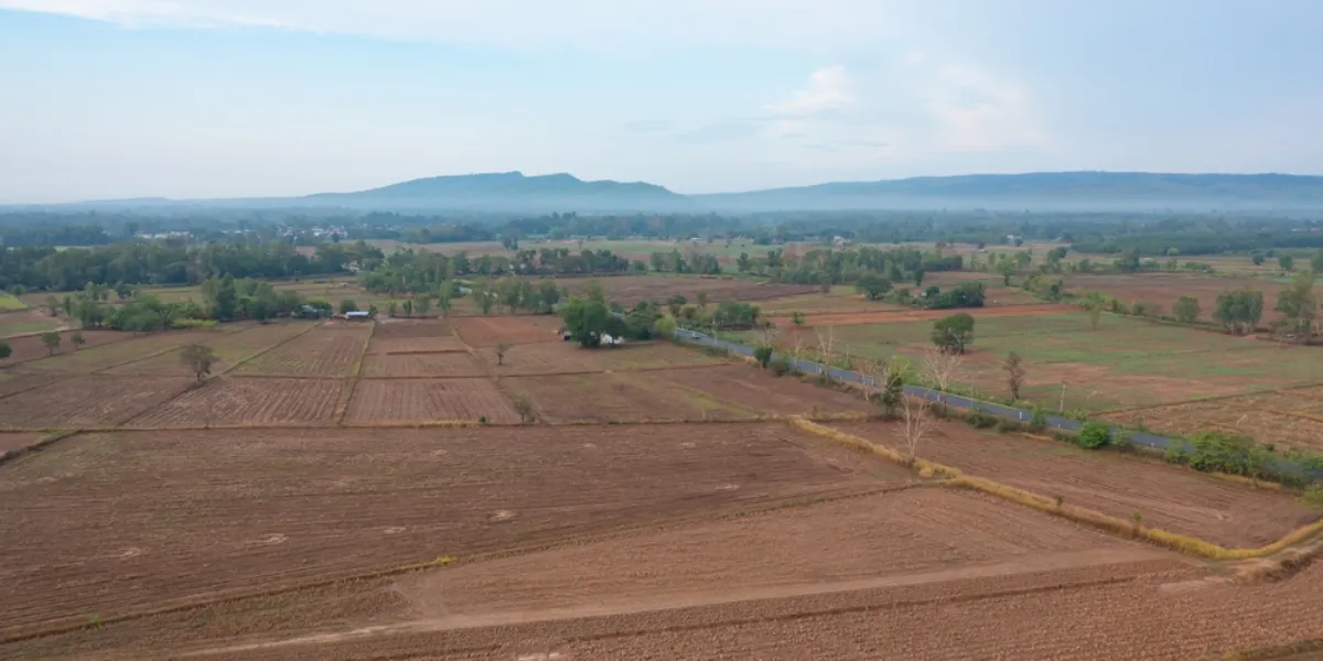 Muhtelif Arsanın Avantajları Nelerdir?