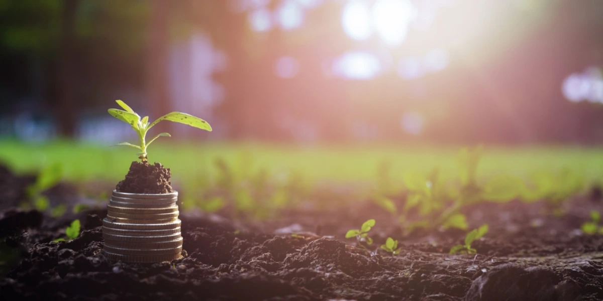 Sübvansiyonlu Kredi Şartları Nelerdir?