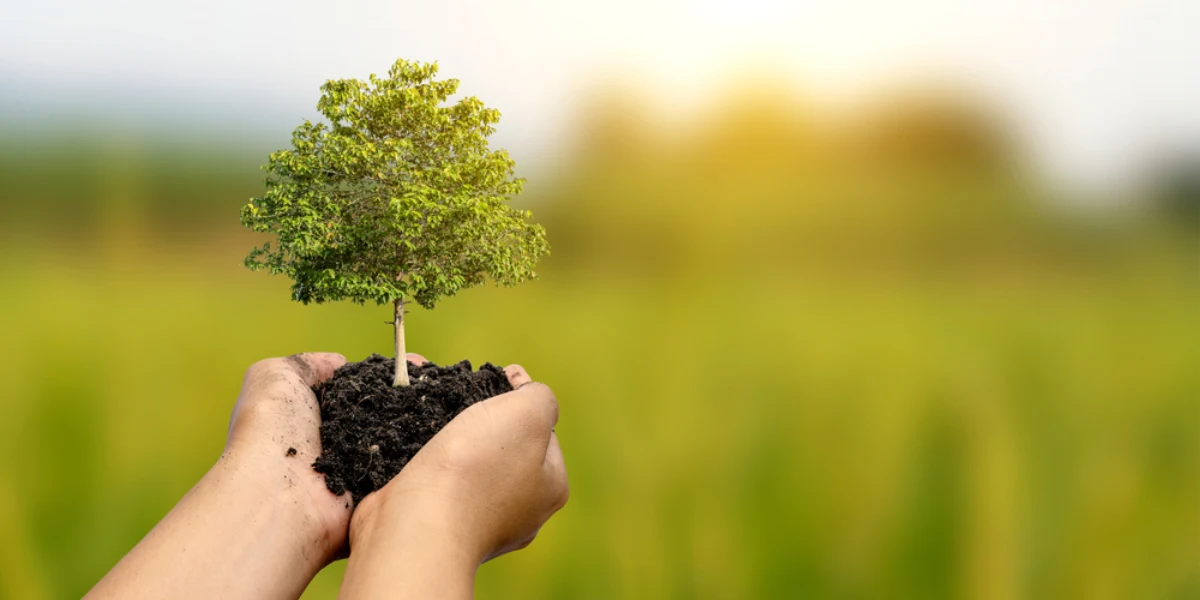 Tarım Kartı Dezavantajları Nelerdir?